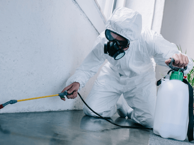 About Organic Pest Control Payson - organic pest control experts in Payson