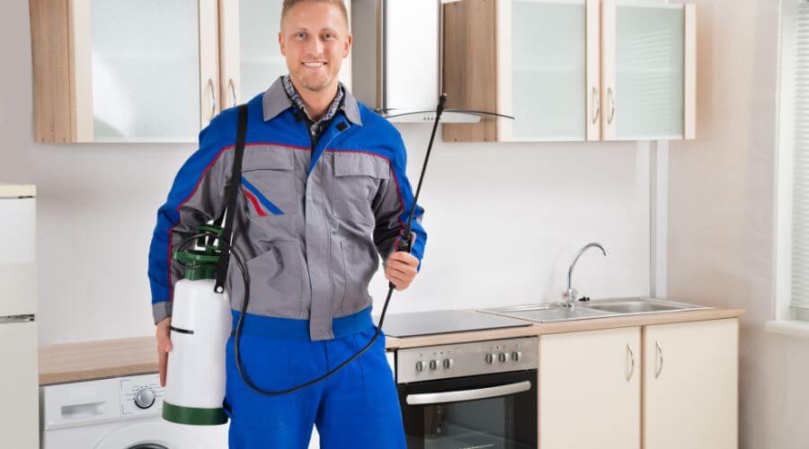 Professional organic pest control services in Payson - Organic Pest Control Payson
