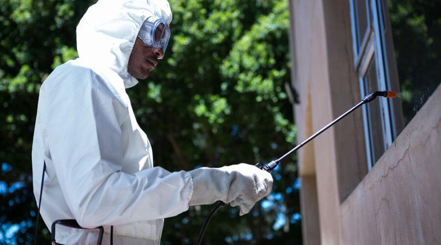 Why choose Organic Pest Control Payson for organic pest control in Payson